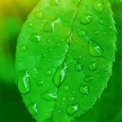 乐鱼竞彩官网下载手机版